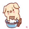 Shine pig 2 MOV 9