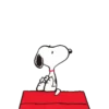 Snoopy y sus amigos 10