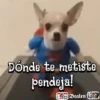 ️  SuperMan .MOV 11
