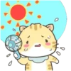 Cat's and Friends  (Mov) 10