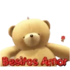oso enamorado  1 MOV 14
