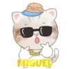 ˙·٠● kitten cat 2 ●٠·˙mov 6
