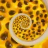 Hypnotic fruits 8
