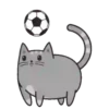 Regordete Meow      Mov 12