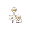 Soya Duck 9