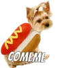 Perros cool 15