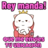 MOCHI REY MANDA 15