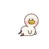 Soya Duck 11