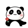 ️Pandita mix  MOV 9