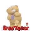 oso enamorado  1 MOV 15