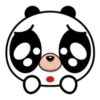 Panditas bonis 9
