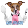 Perros cool 16