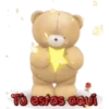 oso enamorado  1 MOV 17