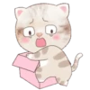 ˙·٠● kitten cat 2 ●٠·˙mov 7