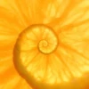 Hypnotic fruits 10