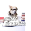 Perros cool 17