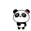 ️Pandita mix  MOV 10