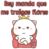 MOCHI REY MANDA 17