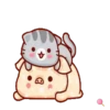 Shine pig 1 MOV 13