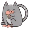 Regordete Meow      Mov 15