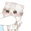 ˙·٠● kitten cat 2 ●٠·˙mov 8