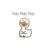 Soya Duck 13