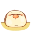 ️ Perrito Lucas   MOV 13