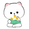 White Cat 5  .MOV 9