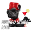 Perros cool 20