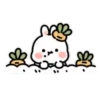 Rabbito   Mov 7
