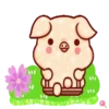 Shine pig 2 MOV 12