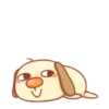️ Perrito Lucas   MOV 15