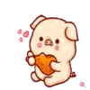 Shine pig 1 MOV 16