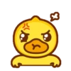 B.Duck Baby Daily 11