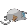 Regordete Meow      Mov 19