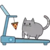 Regordete Meow      Mov 20
