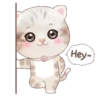 ˙·٠● kitten cat 2 ●٠·˙mov 12