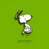 Snoopy y sus amigos 17