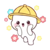 Dududu Cute 1 & Movi 18