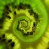 Hypnotic fruits 12
