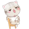 ˙·٠● kitten cat 2 ●٠·˙mov 13