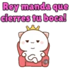MOCHI REY MANDA 19