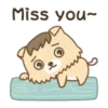 Gatito Perrito  Mov 16