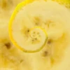 Hypnotic fruits 13