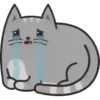 Regordete Meow      Mov 21