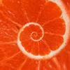 Hypnotic fruits 14