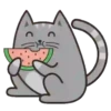 Regordete Meow      Mov 22
