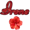 τυ Eท ƒlσr3 17