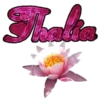 τυ Eท ƒlσr3 18