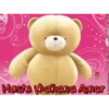 oso enamorado  1 MOV 22